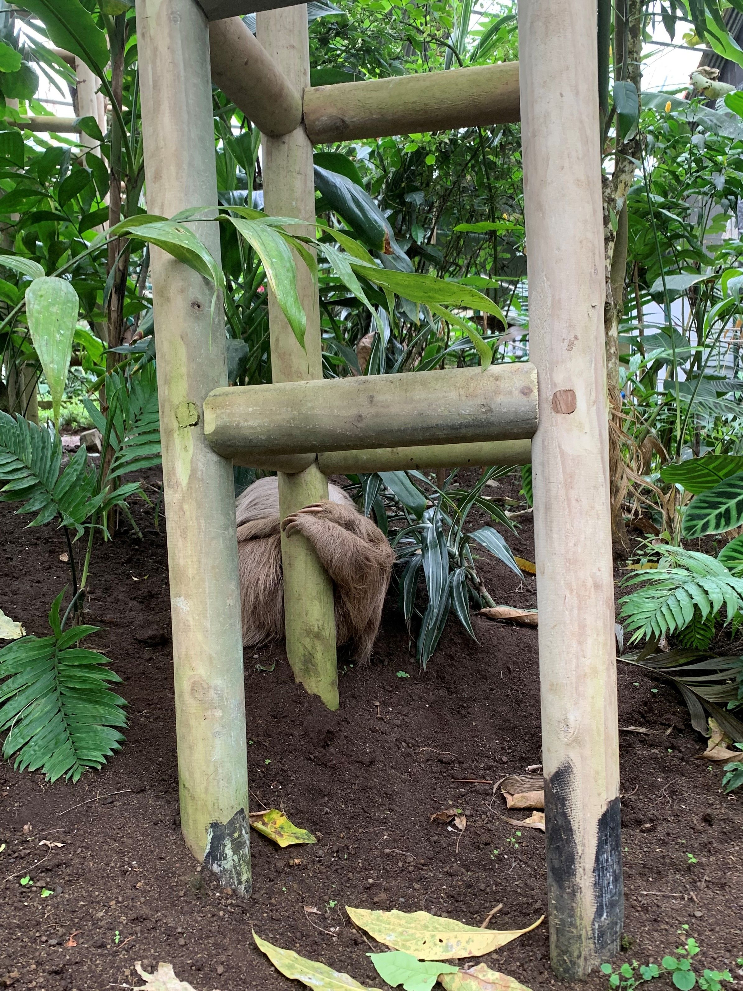 Costa Rica